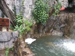 -西游洞风景区