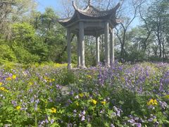 -高尔山公园