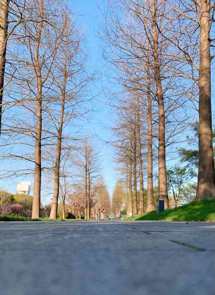 华翔绿地"环境很不错,就是停车不方便,要排队半天-大众点评移动版