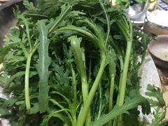 茼蒿-313羊庄·羊肉火锅烧烤(李村店)