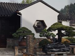 -留园
