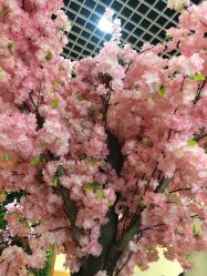 -久匠·纹眉纹绣半永久