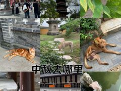 -龙华寺
