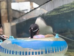 -新加坡水上探险乐园