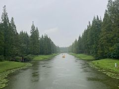 -黄海国家森林公园