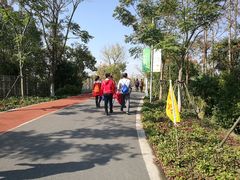 -上海长兴岛郊野公园