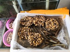 -琼大师东方烤乳猪(亚特兰蒂斯店)