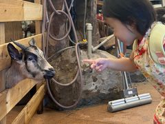 -正佳雨林生态植物园