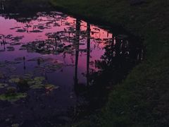 -北京师范大学(珠海校区)