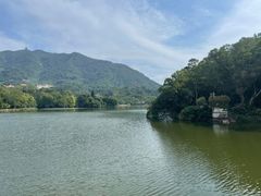 -深圳仙湖植物园