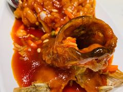 松鼠桂鱼-蝶园·装修中(BFC外滩金融中心店)