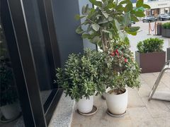 -唐宫足道·SPA·住宿24H会所(木渎店)