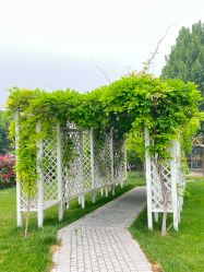 -城市花园婚纱摄影