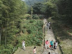 -仙霞关景区