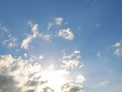 -普陀山慧济禅寺