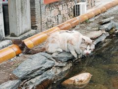-潭柘寺景区