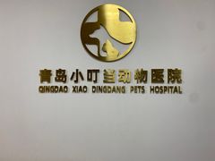 -小叮当动物医院·骨科·眼科