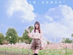 -荷兰花海