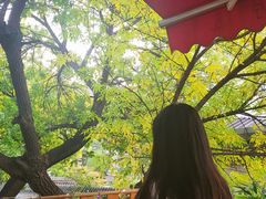 -Santoor 萨都里印度餐厅(北锣鼓巷店)