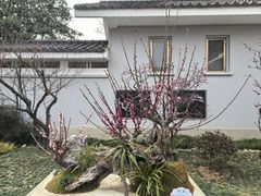 -无锡梅园公园