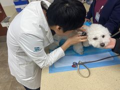 -美联众合动物医院·24h转诊中心