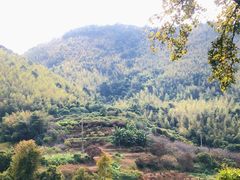 -广州市流溪河国家森林公园