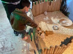 -酷嗒动物文化乐园(cutezoo西溪乐天城店)