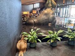 -东方之珠洗浴休闲广场(和平店)