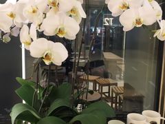 -Peet's 皮爷咖啡(陆家嘴中心店)