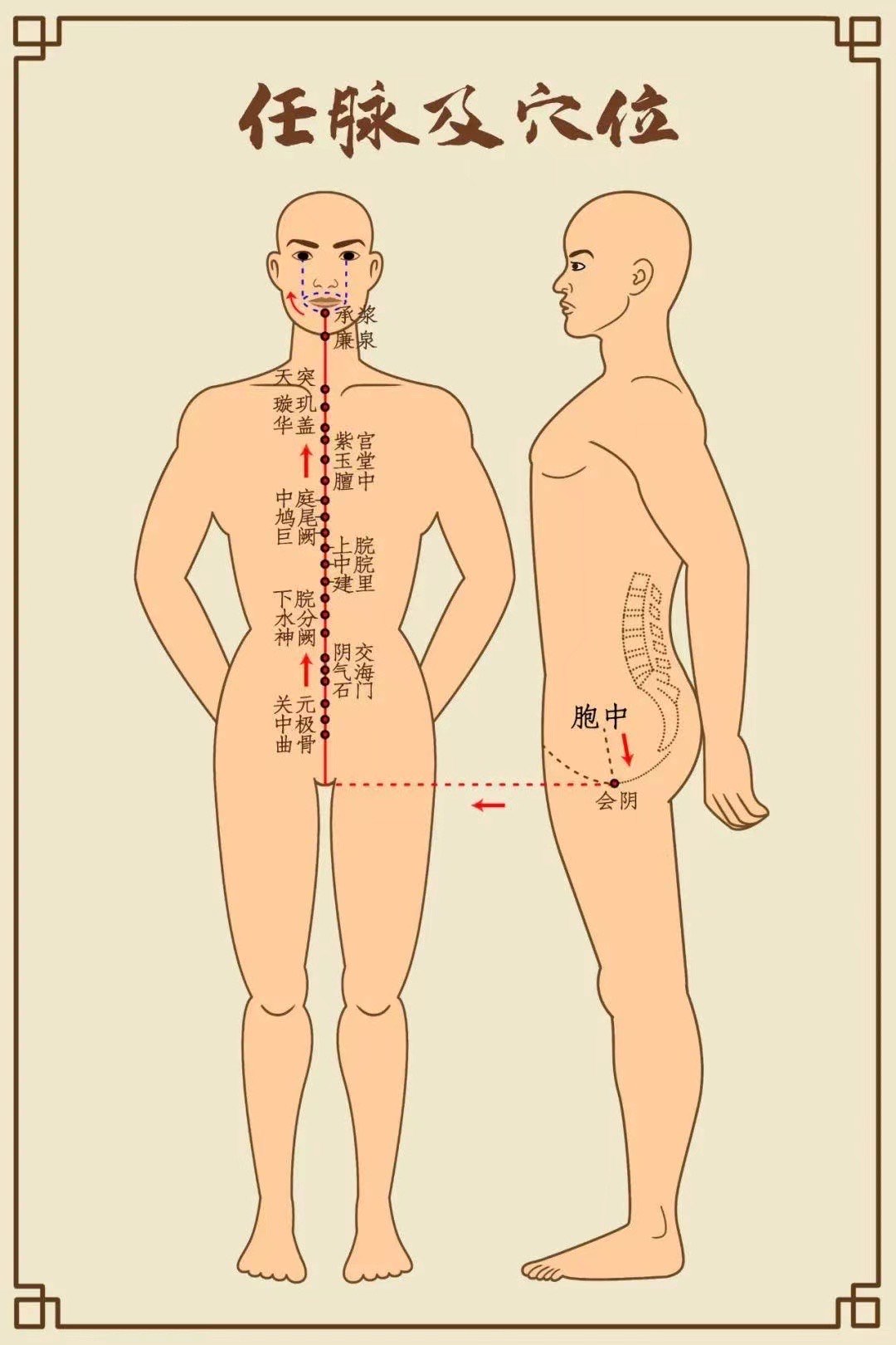 人体有三个救命穴