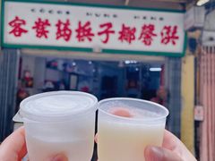 -洪馨椰子