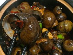 -大萝卜烧烤羊蝎子烤全羊(新城河路店)