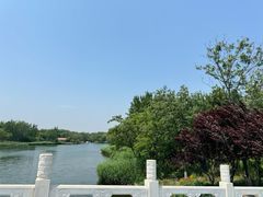 -大兴滨河森林公园