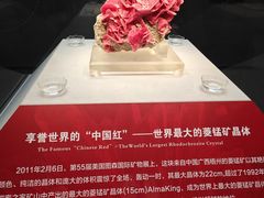 -湖南省地质博物馆