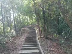 -广州市帽峰山景区