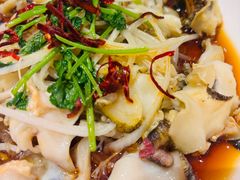 葱油海螺片-新洪记·丽久饭店(铁西店)