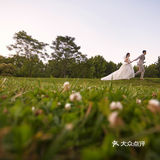 闺蜜看了都羡慕的森系婚纱照丨拍成电影感🎞
