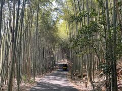 -苏州环秀晓筑养生度假村