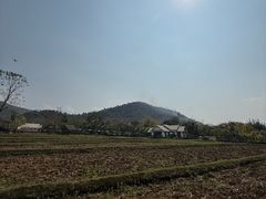 -野象谷景区