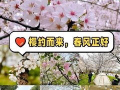 -高东镇樱花园