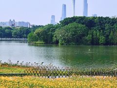 -海珠湖公园