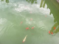 -报恩禅寺