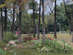 -人民公园(罗湖区)