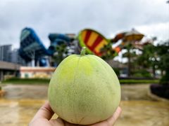 -南昌玛雅海滩水公园