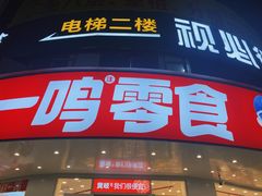 -赵一鸣零食(广东佛山大沥镇嘉洲店)