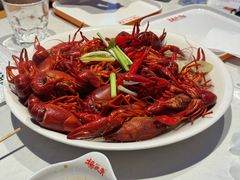 -杨氏青龙虾·螃蟹(托乐嘉店)
