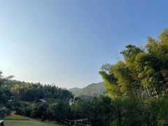 -宁波浙东大竹海景区