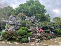 -上海鲜花港