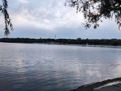 -长春市南湖公园