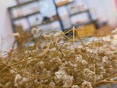 -五月木作·DIY木作文创体验店(北京路店)